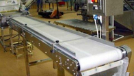 White Color Low Elongation Food Grade Conveyor Belt 1mm - 10mm Thickness